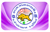 2025-05-308478534254.pdf